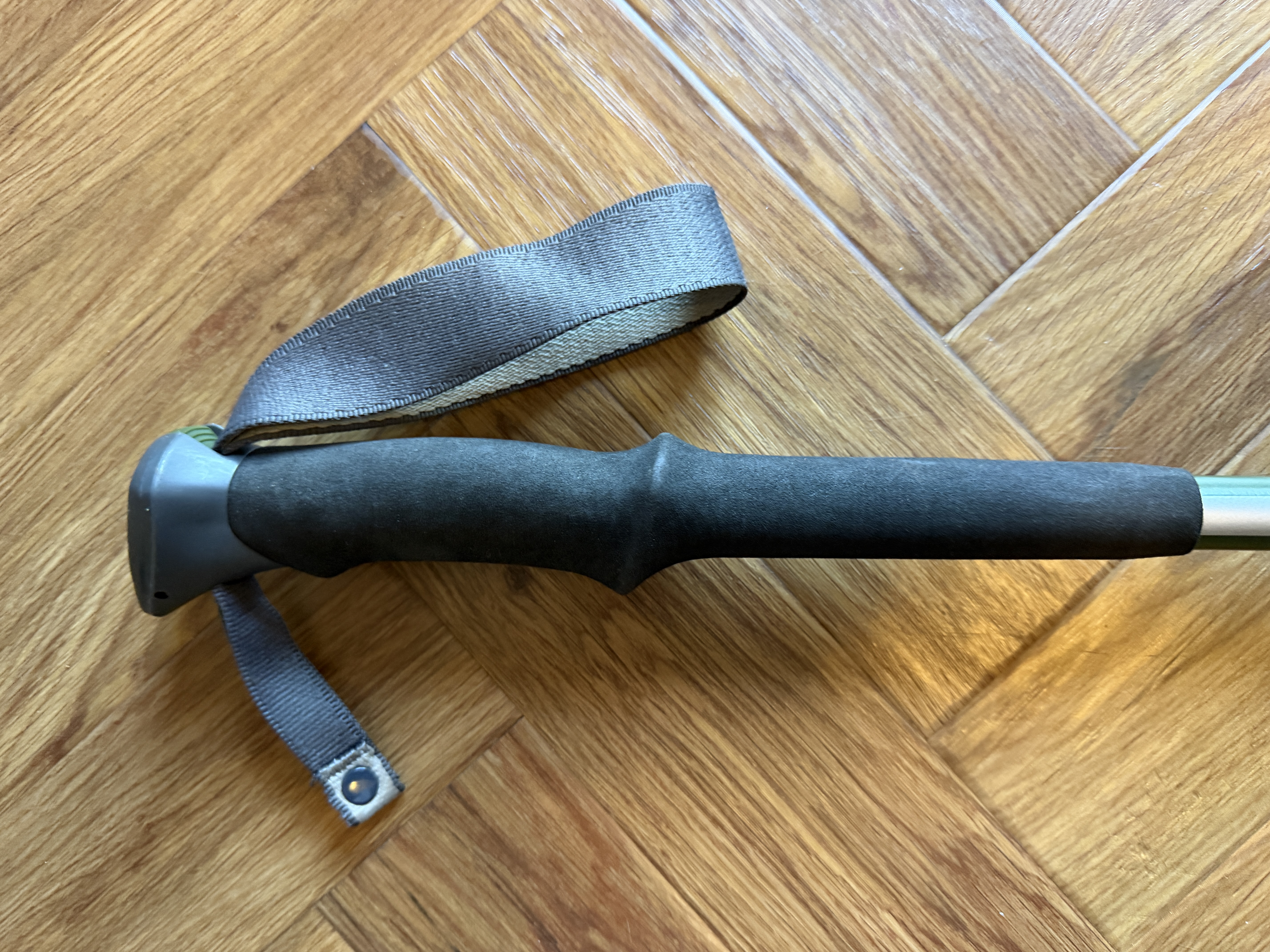 Decathlon Forclaz 100 trekking poles